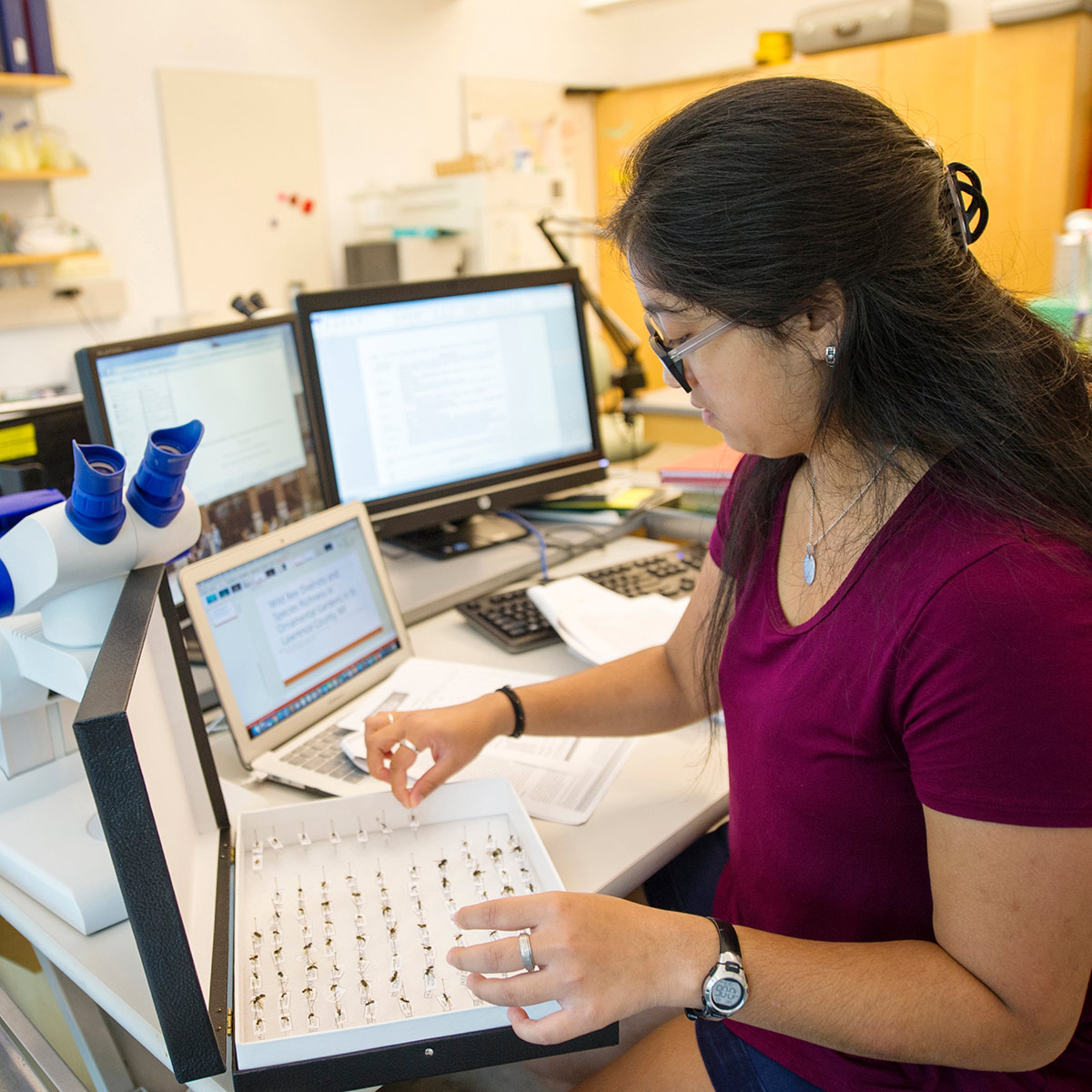 Student doing research