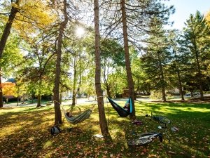 Laurentians in hammocks