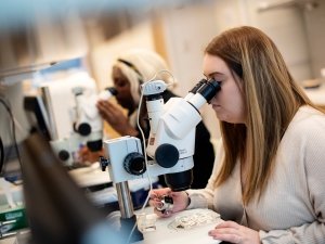 Students doing work in lab