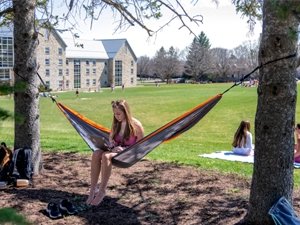 A student, sitting on a yellow and blue striped hammock set between two large trees, works on a laptop during a sunny day on campus. Several students sit in the grass on the quad in the background.