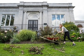 Student collecting brush