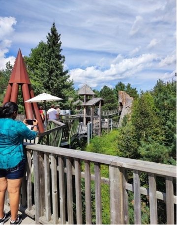 Overlooking a boardwalk pathway through a green pine tree forest.