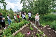 students surrounding a garden bed